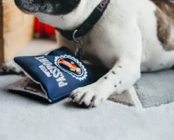 P.L.A.Y. Pupster Passport Crinkle Dog Toy 12 P.L.A.Y. Pupster Passport Crinkle Dog Toy -Pet Sale Shop PLB7017