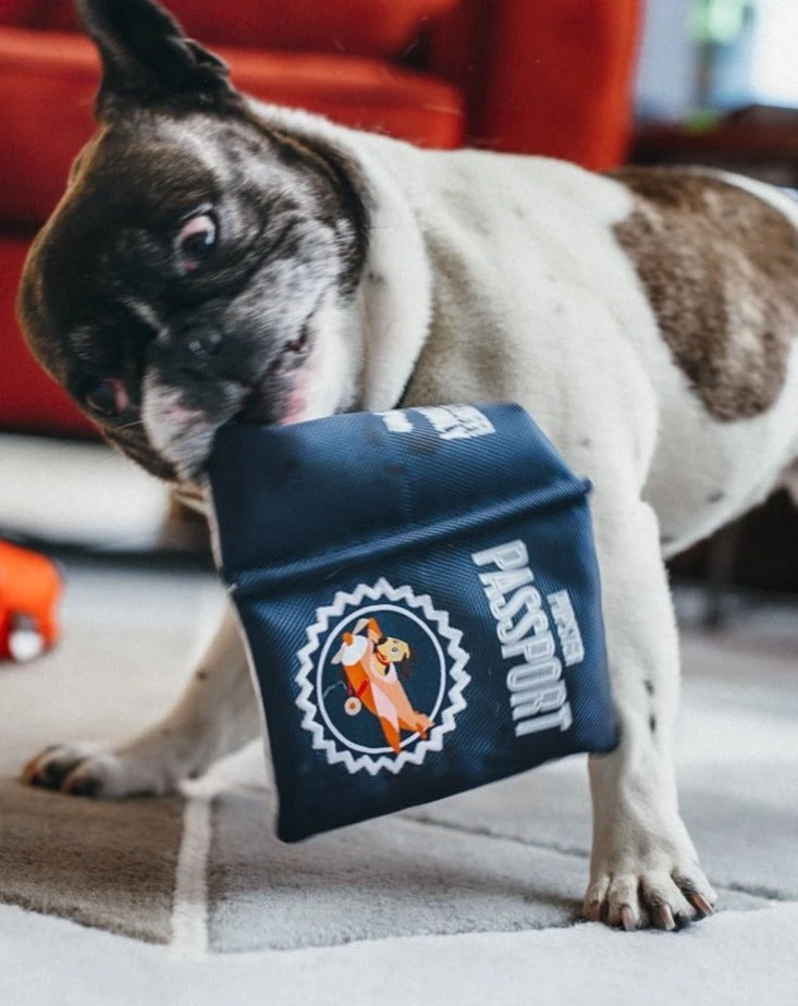 P.L.A.Y. Pupster Passport Crinkle Dog Toy 2 P.L.A.Y. Pupster Passport Crinkle Dog Toy - Image 2