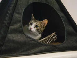 P.L.A.Y. Horizon Pet Tent In Woodland (Direct-Ship) -Pet Sale Shop PLB8405 999d0d78 7b35 43c2 8850 b5021af85b3a