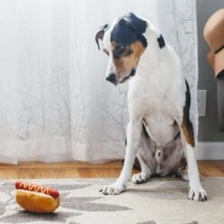 P.L.A.Y. American Classic Hot Dog Plush Toy -Pet Sale Shop PLB9421