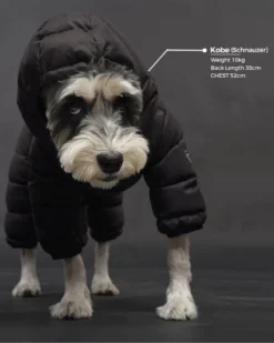 SSOOOK Padded Winter Coverall For Dogs W/ Hood -Pet Sale Shop ProductImages General 2d8a6e1d 8d2d 43cd 820e 73675c1dfe90