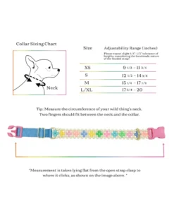 SUSAN ALEXANDRA Broadway Beaded Dog Collar In Matinee (Made In The USA) -Pet Sale Shop ProductImages General 328413f3 95b3 4328 b230 caec4b101b0d