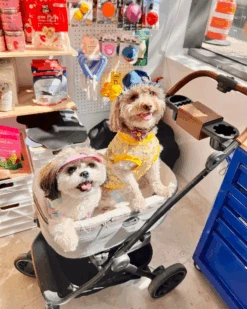 ICECREAMTREE STUDIO Denim Pet Bucket Hat (Made In The USA) -Pet Sale Shop ProductImages General 94594dd2 a711 4792 83df ad88dfcc9756