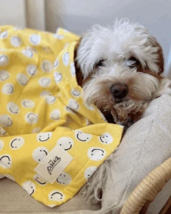 Pet Sale Shop -Pet Sale Shop ProductImages General b0fbdd21 c0ab 4986 915e 03308d3421dd