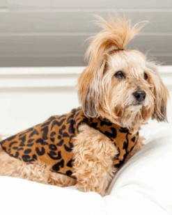 GOLD PAW Stretch Fleece Pullover In Leopard Print