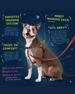 2 Hounds Design Freedom No-Pull Harness In Kelly Green (Made In The USA) (FINAL SALE) 11 2 Hounds Design Freedom No-Pull Harness In Kelly Green (Made In The USA) (FINAL SALE) -Pet Sale Shop ProductImages General bca04d87 6fc8 4e9a 86b1 414c4c0b6c68