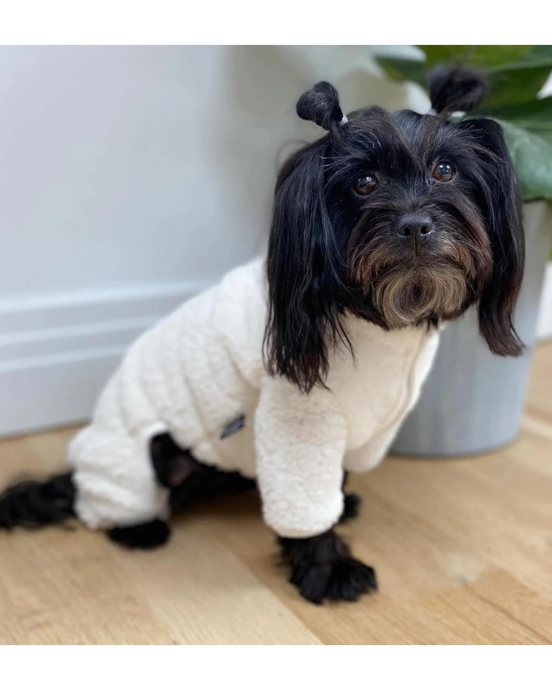 DENTISTS APPOINTMENT Boa Fleece Onesie In Cream (Dog & Co. Exclusive) 5 DENTISTS APPOINTMENT Boa Fleece Onesie In Cream (Dog & Co. Exclusive) - Image 5