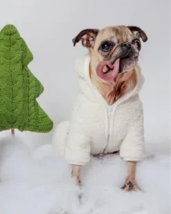 DENTISTS APPOINTMENT Boa Fleece Onesie In Cream (Dog & Co. Exclusive) 14 DENTISTS APPOINTMENT Boa Fleece Onesie In Cream (Dog & Co. Exclusive) -Pet Sale Shop ProductImages 800x1000px 30