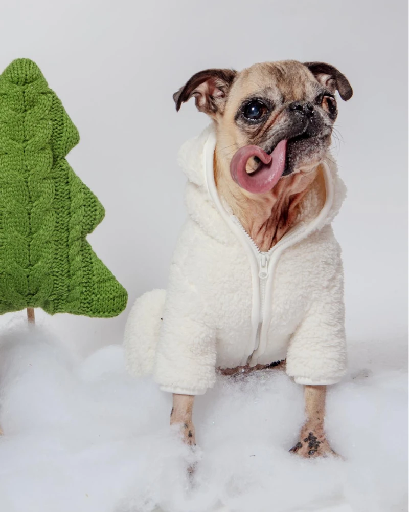 DENTISTS APPOINTMENT Boa Fleece Onesie In Cream (Dog & Co. Exclusive) 7 DENTISTS APPOINTMENT Boa Fleece Onesie In Cream (Dog & Co. Exclusive) - Image 7