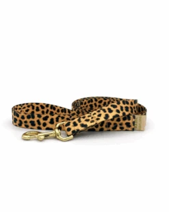 MAJOR DARLING Basic Nylon Dog Leash In Leopard (Made In The USA)