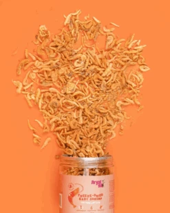 ARYA SIT Freeze-Dried Baby Shrimp Treat For Dogs & Cats
