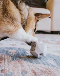 UP DOG TOYS The Odin Interactive Dog Puzzle Toy -Pet Sale Shop Product Images 2