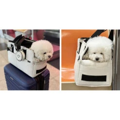 SSOOOK Adjustable Strap Dog Carrier Bag In Black 21 SSOOOK Adjustable Strap Dog Carrier Bag In Black -Pet Sale Shop SHOPIFY DETAIL 1000 SO CA001 10 6173c483 3963 42e0 9921 2f447a8af40e