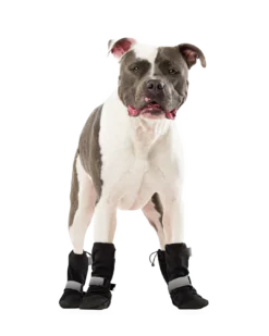 CANADA POOCH Soft Shield Dog Boots In Black -Pet Sale Shop SoftShieldBoots Reflective Frontcopy