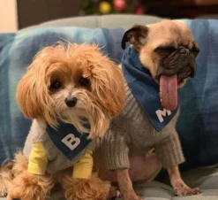 THRIFT DOG Custom Initial Bandana In Dark Denim (Drop-Ship) 18 THRIFT DOG Custom Initial Bandana In Dark Denim (Drop-Ship) -Pet Sale Shop THRIFTDOG CustomLetterBandana0