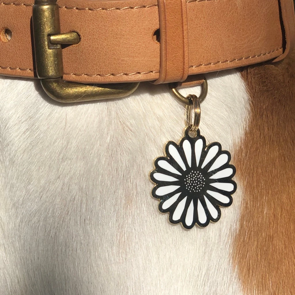 TWO TAILS PET COMPANY Daisy ID Tag (Custom) - Image 2