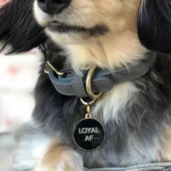 TWO TAILS PET COMPANY Loyal AF ID Tag (Custom/Drop-Ship) -Pet Sale Shop TWO TAILS PET COMPANY Loyal AF 3