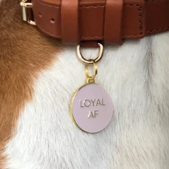 TWO TAILS PET COMPANY Loyal AF ID Tag (Custom/Drop-Ship) -Pet Sale Shop TWO TAILS PET COMPANY Loyal AF 5