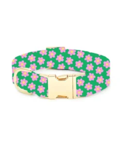 THE FOGGY DOG Flower Power Dog Collar (Made In The USA) -Pet Sale Shop Untitleddesign 1 f442ddbb 6bc5 415e a8f8 50cd54977ead