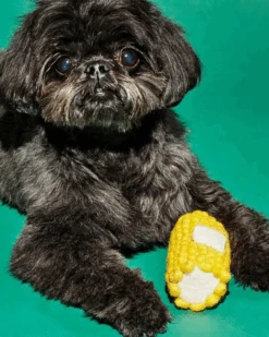 WARE OF THE DOG Boiled Wool Corn Dog Toy -Pet Sale Shop Untitleddesign 9f88cb37 24c8 499d 8d31 026aafbebf4b