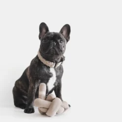 LAMBWOLF COLLECTIVE NouNou Interactive Crinkle Dog Toy In Tan 8 LAMBWOLF COLLECTIVE NouNou Interactive Crinkle Dog Toy In Tan -Pet Sale Shop a36c9f3ea885b795603695f35eff167996069251061c4218734f79aadf07d3a7