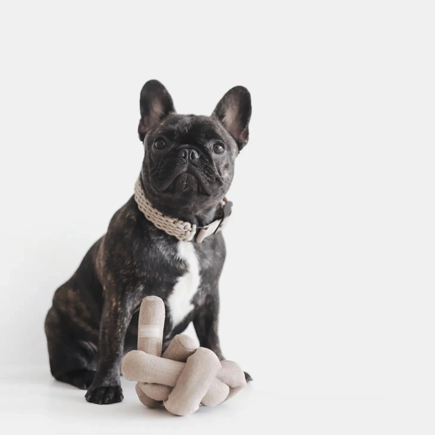 LAMBWOLF COLLECTIVE NouNou Interactive Crinkle Dog Toy In Tan 4 LAMBWOLF COLLECTIVE NouNou Interactive Crinkle Dog Toy In Tan - Image 4