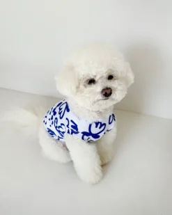 COTE A COTE Blue Scribbles Cooling Dog Tee 17 COTE A COTE Blue Scribbles Cooling Dog Tee -Pet Sale Shop b588d1532036ba5b67c8fa33b18f6410 scaled
