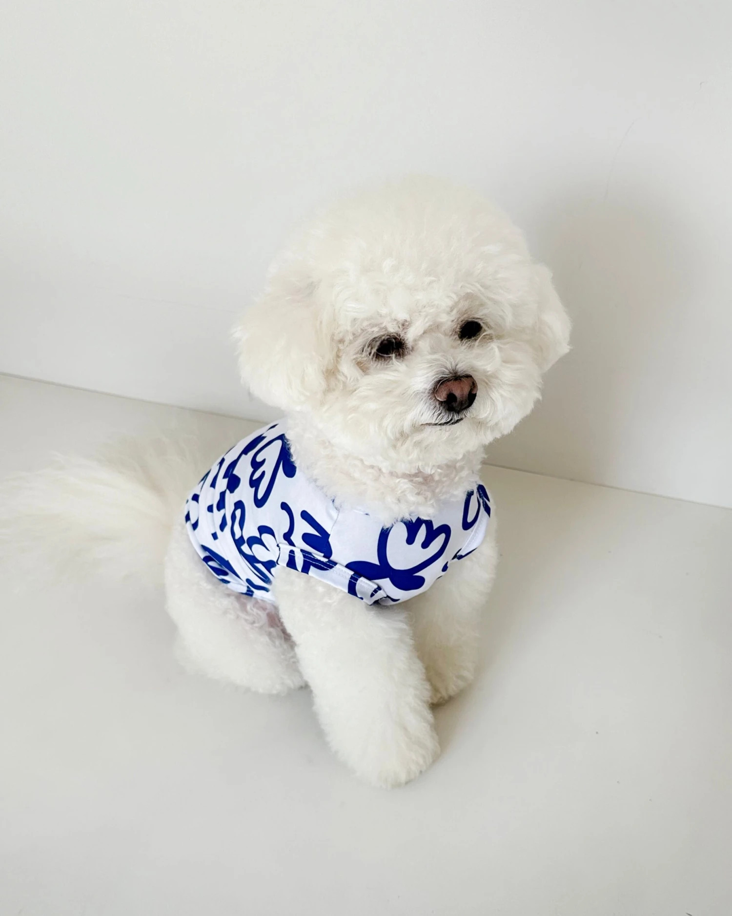 COTE A COTE Blue Scribbles Cooling Dog Tee 9 COTE A COTE Blue Scribbles Cooling Dog Tee - Image 9