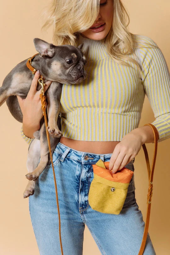 MOLLY & STITCH Butter Leather Dog Collar In Sahara Cognac (Made In Austria) 2 MOLLY & STITCH Butter Leather Dog Collar In Sahara Cognac (Made In Austria) - Image 2