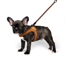 CHARLIE'S BACKYARD Adjustable Easy Dog Harness In Tan -Pet Sale Shop charlie s backyard easy harness tan 2 7257094f e2ac 42e0 ab4b cf7de118adb0