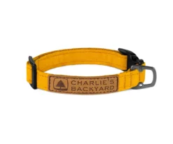 CHARLIE'S BACKYARD Easy Dog Collar In Yellow -Pet Sale Shop charlie sbackyardyelloweasycollar 9c0d0f4b 26aa 427e 9f35 c8d1131e731e