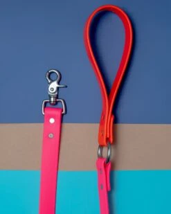 DOG & CO. COLLECTION City Leash In Neon Pink & Neon Orange (4 Or 6 Foot) (Made In The USA) 13 DOG & CO. COLLECTION City Leash In Neon Pink & Neon Orange (4 Or 6 Foot) (Made In The USA) -Pet Sale Shop dog co cityleash 1c5a9538