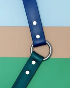 DOG & CO. COLLECTION City Leash In Hunter Green & Navy (4 Or 6 Foot) (Made In The USA) -Pet Sale Shop dog co cityleash 1c5a9589
