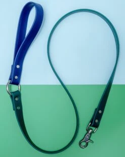 DOG & CO. COLLECTION City Leash In Hunter Green & Navy (4 Or 6 Foot) (Made In The USA) -Pet Sale Shop dog co cityleash 1c5a9593
