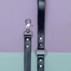 DOG & CO. COLLECTION City Leash In Basic Black (Made In The USA)