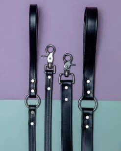 DOG & CO. COLLECTION City Leash In Basic Black (Made In The USA) -Pet Sale Shop dog co cityleash 1c5a9603