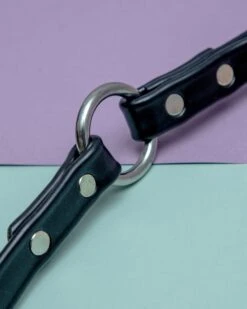 DOG & CO. COLLECTION City Leash In Basic Black (Made In The USA) -Pet Sale Shop dog co cityleash 1c5a9611