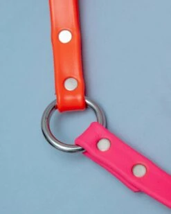DOG & CO. COLLECTION City Leash In Neon Pink & Neon Orange (4 Or 6 Foot) (Made In The USA) 12 DOG & CO. COLLECTION City Leash In Neon Pink & Neon Orange (4 Or 6 Foot) (Made In The USA) -Pet Sale Shop dog co cityleash 1c5a9655