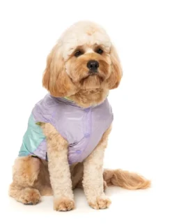 FUZZYARD Ormond Raincoat In Olive + Pink Or Purple + Mint -Pet Sale Shop fzaw5411 7 raincoat ormond purpleblue dog01