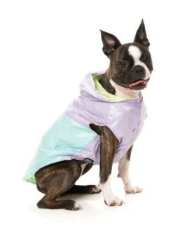 FUZZYARD Ormond Raincoat In Olive + Pink Or Purple + Mint -Pet Sale Shop fzaw5411 7 raincoat ormond purpleblue dog04
