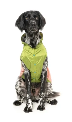 FUZZYARD Ormond Raincoat In Olive + Pink Or Purple + Mint -Pet Sale Shop fzaw5431 7 raincoat ormond olivepink dog01