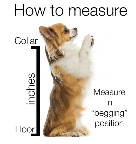 K9 SPORT SACK K9 Sport Sack Dog Backpack (Air 2) (FINAL SALE) 7 K9 SPORT SACK K9 Sport Sack Dog Backpack (Air 2) (FINAL SALE) - Image 7