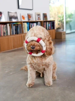 JAX & BONES Lifesaver Rope Dog Toy 9 JAX & BONES Lifesaver Rope Dog Toy -Pet Sale Shop lifesaver rope toy jax bones 2