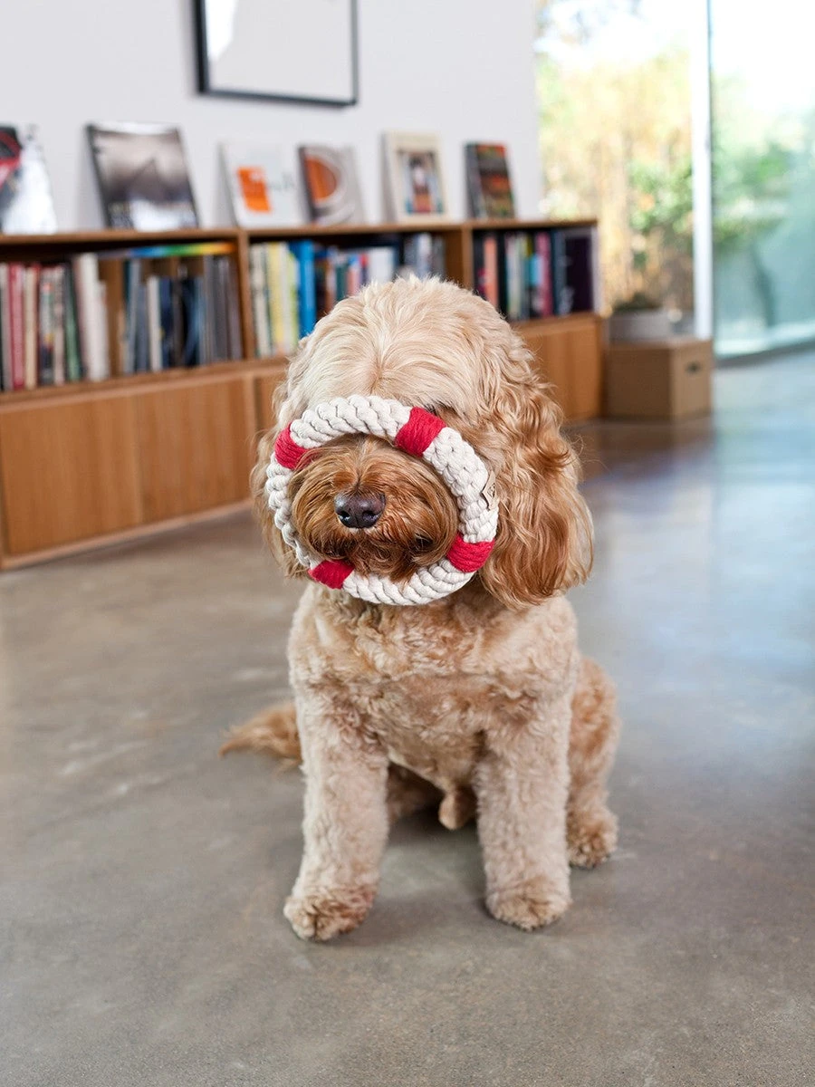 JAX & BONES Lifesaver Rope Dog Toy 5 JAX & BONES Lifesaver Rope Dog Toy - Image 5