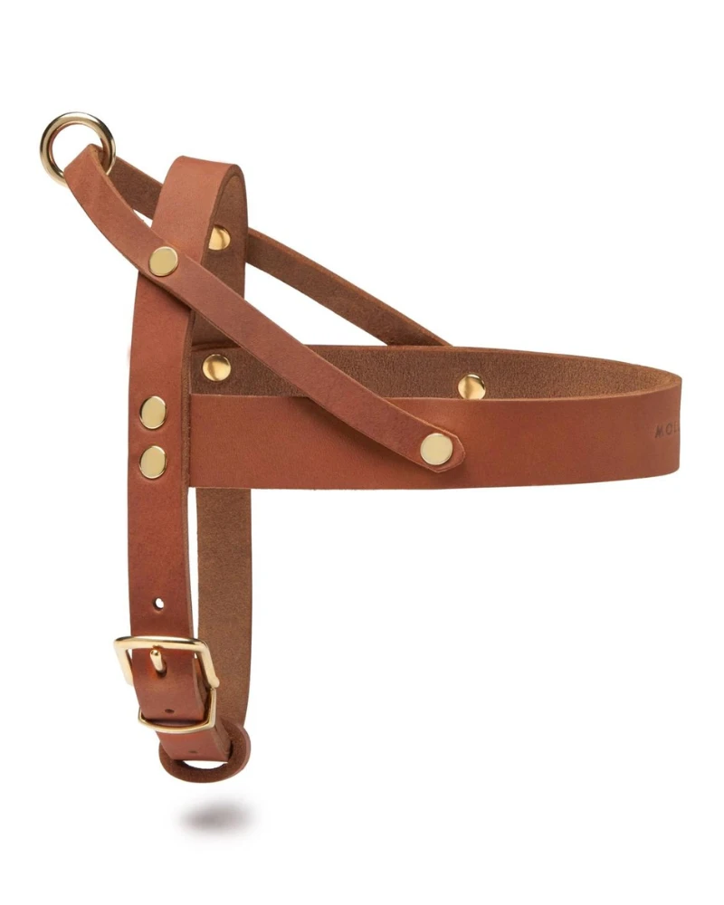 MOLLY & STITCH Butter Leather Dog Harness In Sahara Cognac (Made In Austria) 2 MOLLY & STITCH Butter Leather Dog Harness In Sahara Cognac (Made In Austria) - Image 2