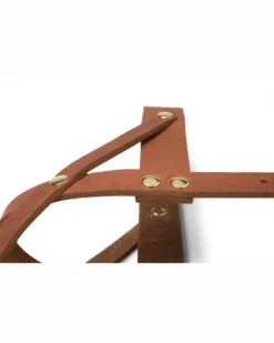 MOLLY & STITCH Butter Leather Dog Harness In Sahara Cognac (Made In Austria) 12 MOLLY & STITCH Butter Leather Dog Harness In Sahara Cognac (Made In Austria) -Pet Sale Shop mollyandstitch2