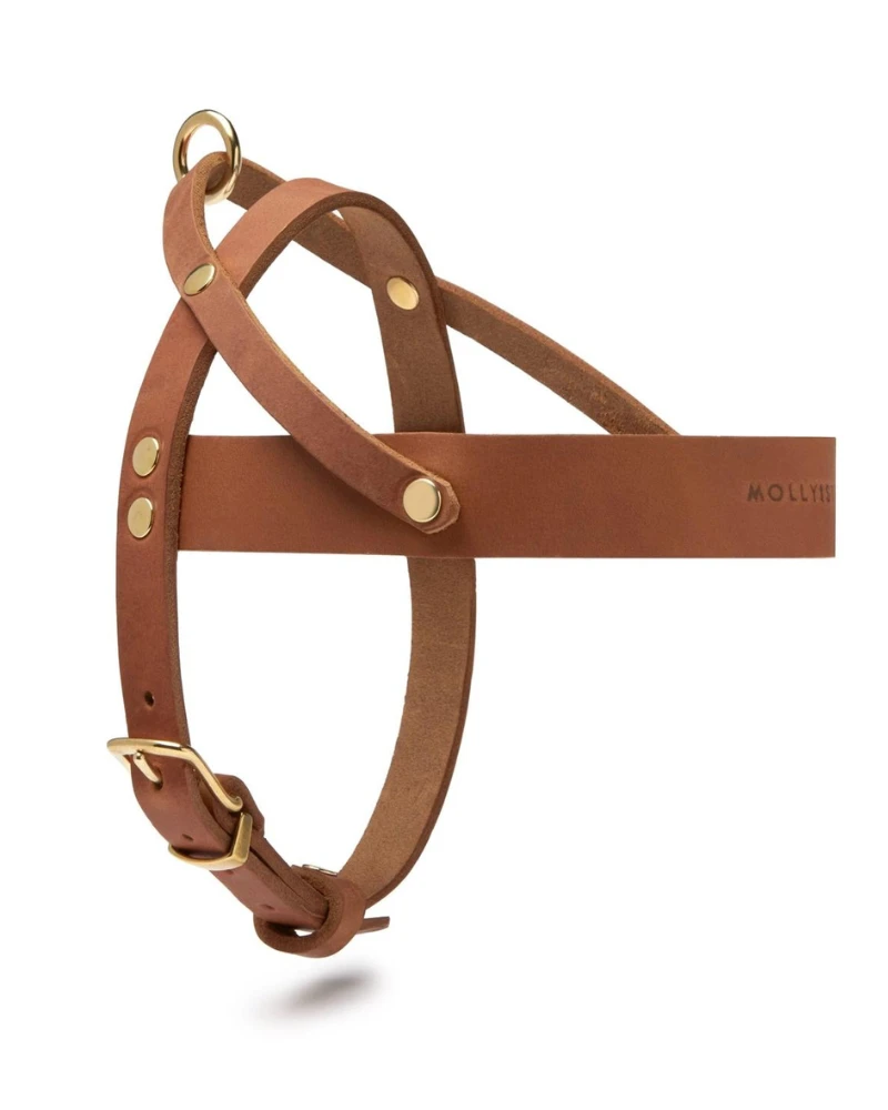MOLLY & STITCH Butter Leather Dog Harness In Sahara Cognac (Made In Austria) 3 MOLLY & STITCH Butter Leather Dog Harness In Sahara Cognac (Made In Austria) - Image 3