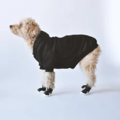 RIFRUF Caesar Dog Sneakers In Black -Pet Sale Shop rifruf productpage studio shot with poodle 1200x 665a0a15 a555 446d b031 e864f4970771