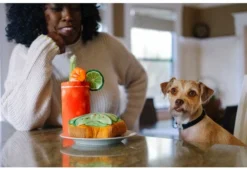 P.L.A.Y. Avo-Doggo Toast Plush Dog Toy -Pet Sale Shop thelabsandco 9116 fixed d1fe3c70 bd4c 4f1a 8e9d ff714ea5a289